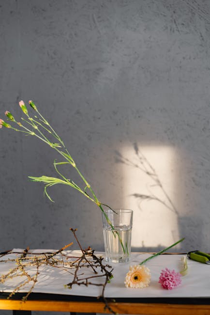 A person feeling refreshed and energized in a minimalist space